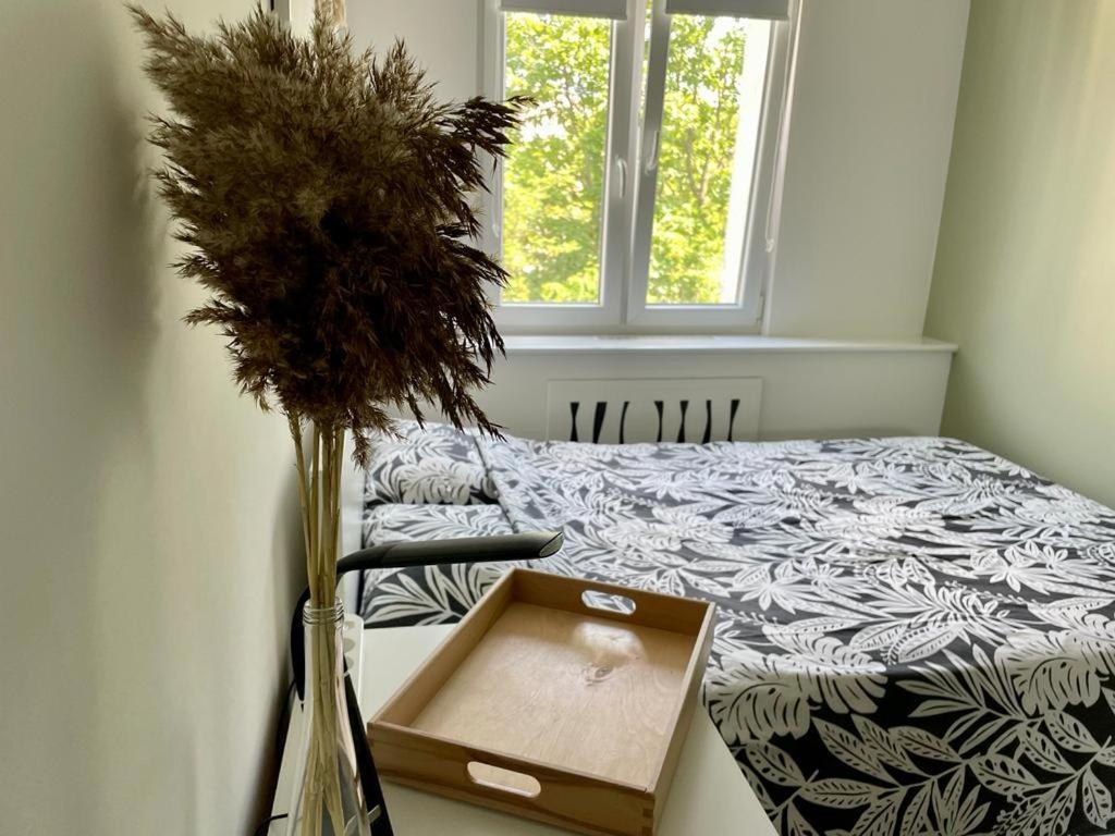 Apartamento Na Rogu 47